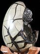 Septarian Dragon Egg Geode - Black Crystals #48001-1